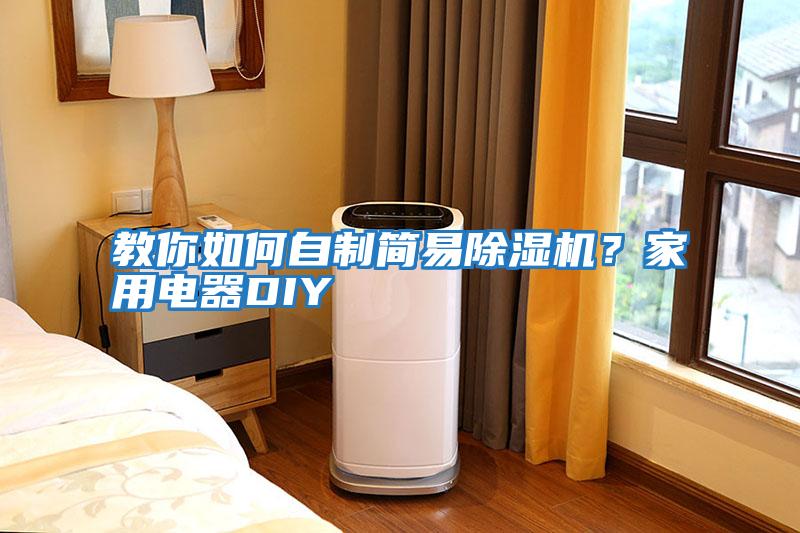 教你如何自制簡(jiǎn)易除濕機？家用電器DIY