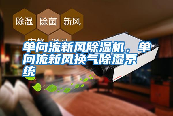 單向流新風(fēng)除濕機，單向流新風(fēng)換氣除濕系統