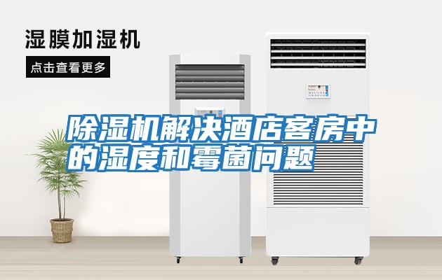 除濕機解決酒店客房中的濕度和霉菌問(wèn)題