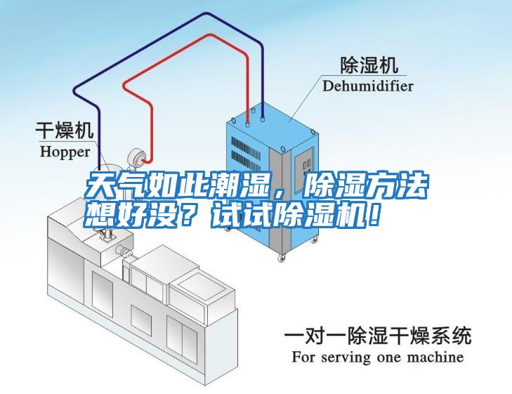天氣如此潮濕，除濕方法想好沒(méi)？試試除濕機！
