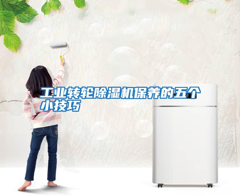 工業(yè)轉輪除濕機保養的五個(gè)小技巧