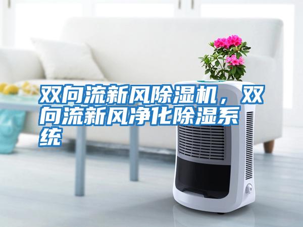 雙向流新風(fēng)除濕機，雙向流新風(fēng)凈化除濕系統