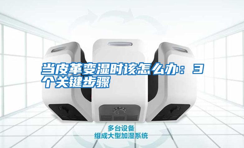 當皮革變濕時(shí)該怎么辦：3個(gè)關(guān)鍵步驟