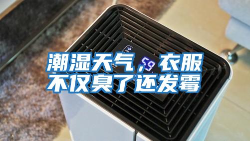 潮濕天氣，衣服不僅臭了還發(fā)霉