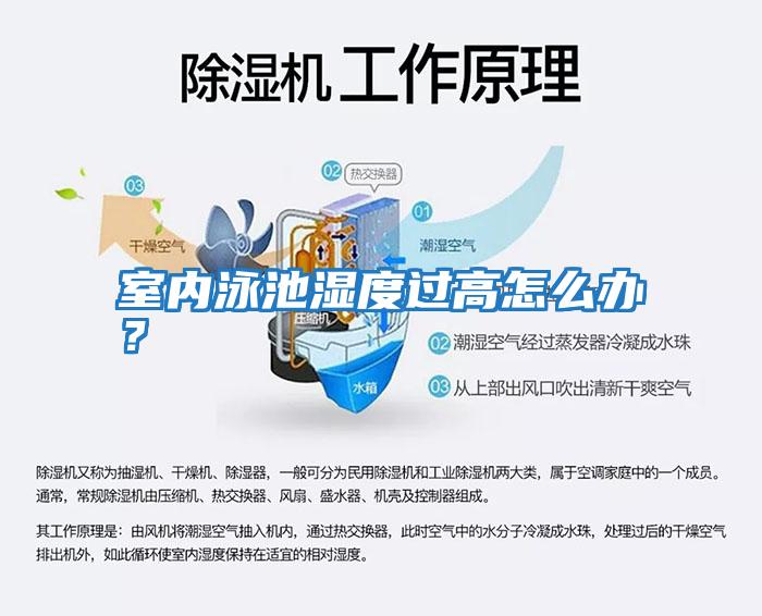 室內泳池濕度過(guò)高怎么辦？