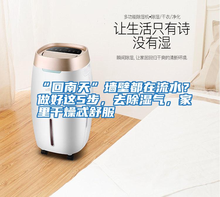 “回南天”墻壁都在流水？做好這5步，去除濕氣，家里干燥忒舒服