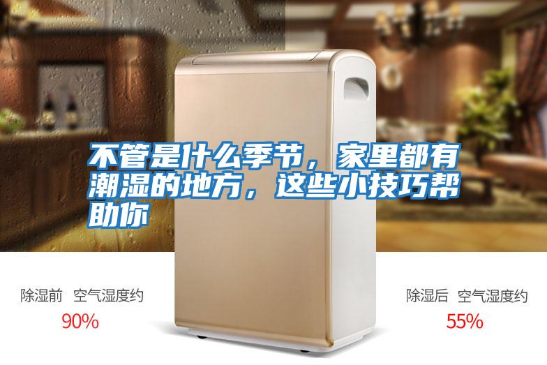 不管是什么季節，家里都有潮濕的地方，這些小技巧幫助你