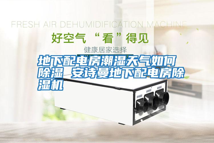 地下配電房潮濕天氣如何除濕 安詩(shī)曼地下配電房除濕機