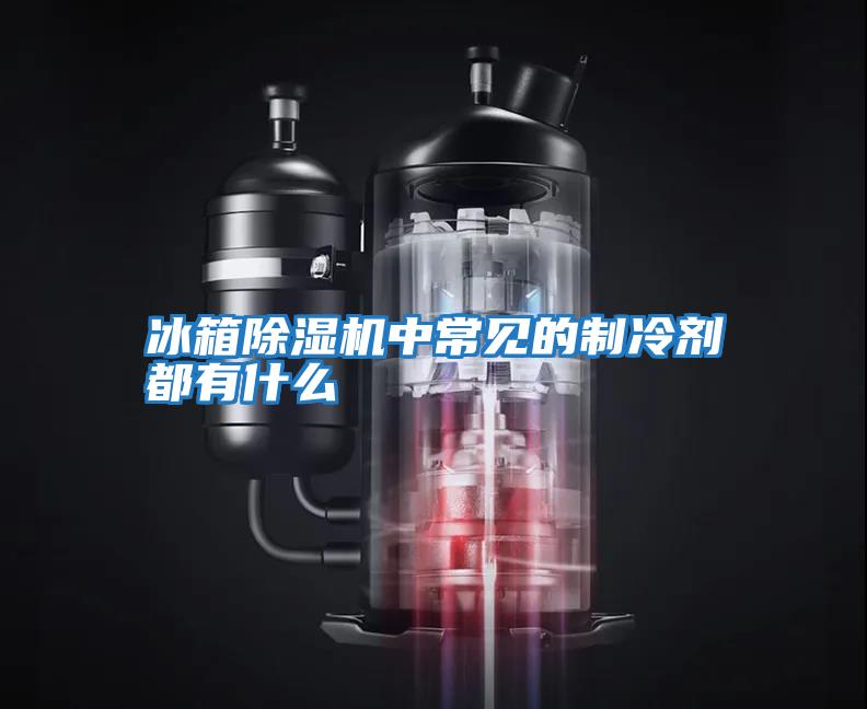 冰箱除濕機中常見(jiàn)的制冷劑都有什么