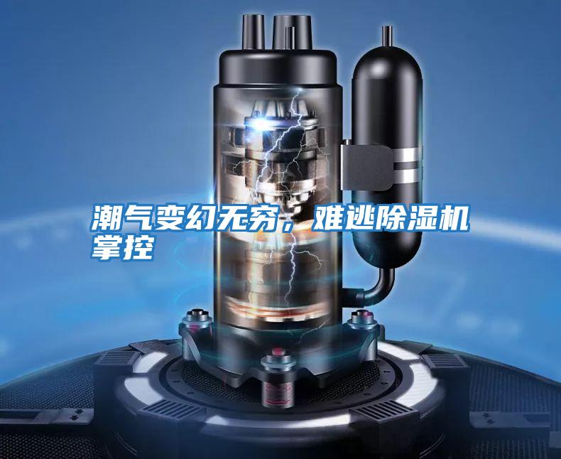 潮氣變幻無(wú)窮，難逃除濕機掌控