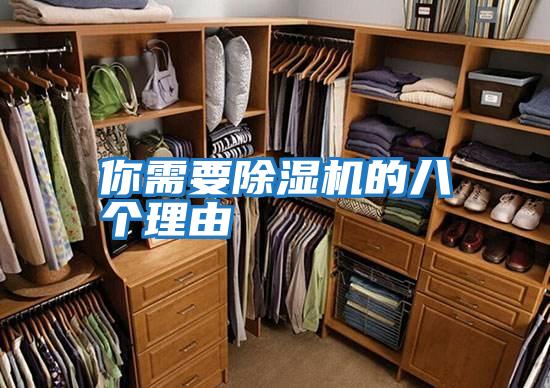 你需要除濕機的八個(gè)理由