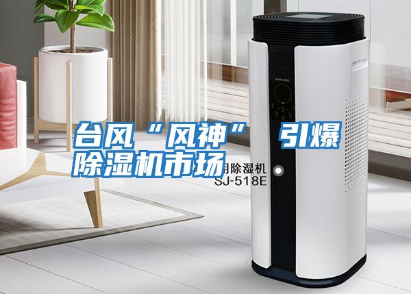 臺風(fēng)“風(fēng)神” 引爆除濕機市場(chǎng)