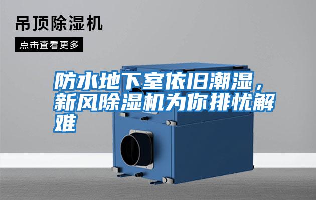 防水地下室依舊潮濕，新風(fēng)除濕機為你排憂(yōu)解難