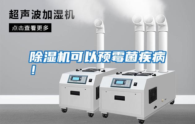 除濕機可以預霉菌疾??！