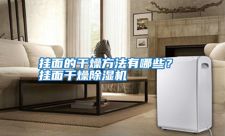 掛面的干燥方法有哪些？ 掛面干燥除濕機