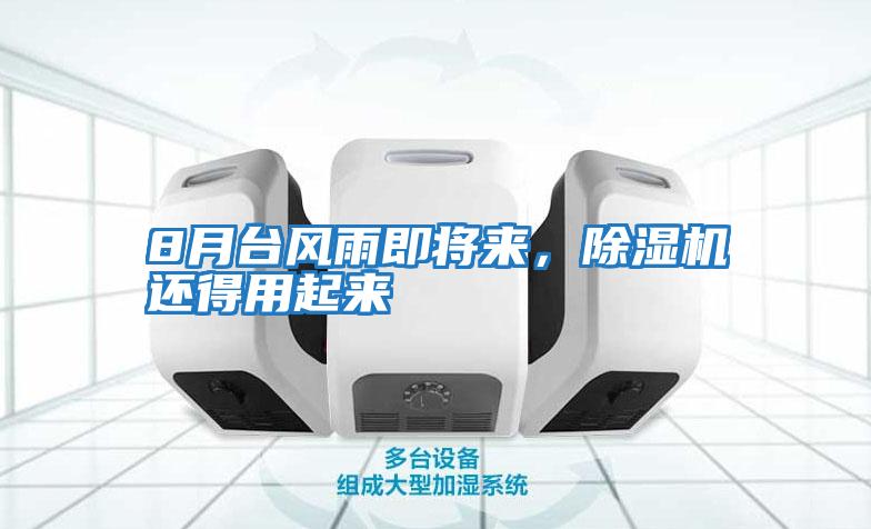 8月臺風(fēng)雨即將來(lái)，除濕機還得用起來(lái)