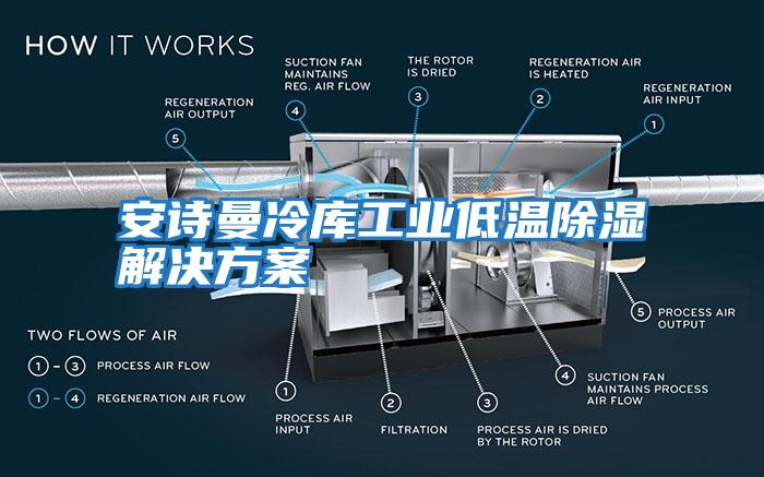 安詩(shī)曼冷庫工業(yè)低溫除濕解決方案