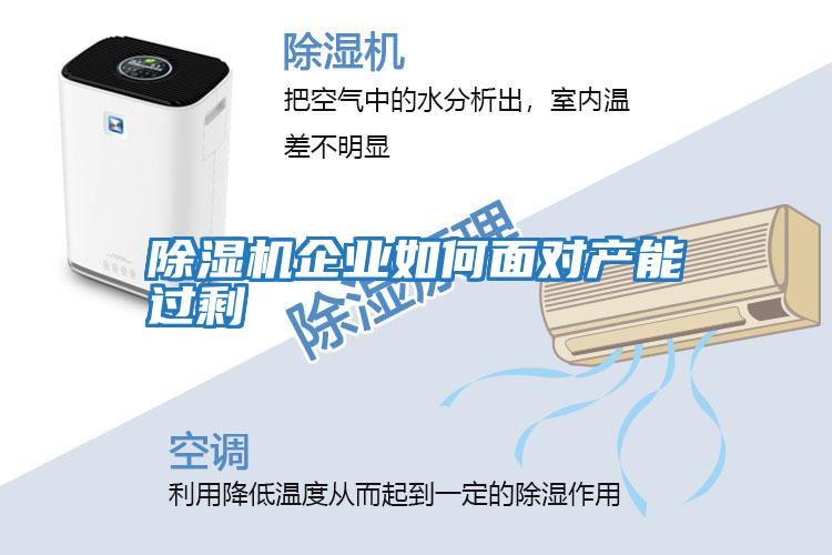 除濕機企業(yè)如何面對產(chǎn)能過(guò)剩