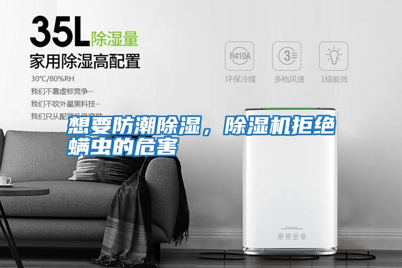 想要防潮除濕，除濕機拒絕螨蟲(chóng)的危害