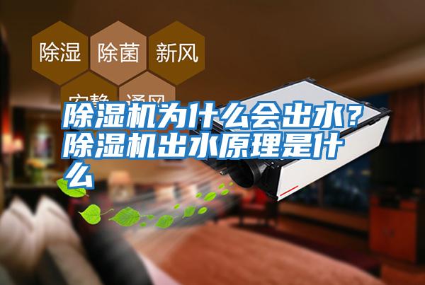 除濕機為什么會(huì )出水？除濕機出水原理是什么