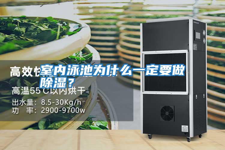 室內泳池為什么一定要做除濕？