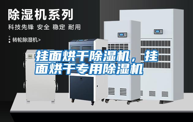 掛面烘干除濕機，掛面烘干專(zhuān)用除濕機