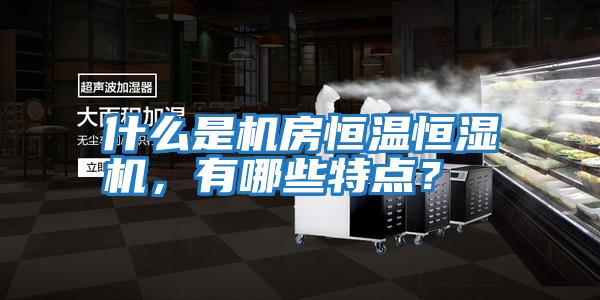 什么是機房恒溫恒濕機，有哪些特點(diǎn)？