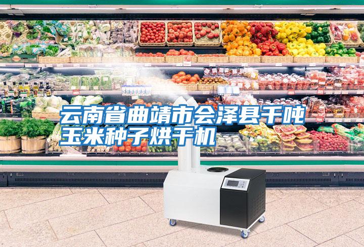 云南省曲靖市會(huì )澤縣千噸玉米種子烘干機