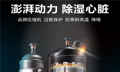 采菊東籬下，悠然見(jiàn)南山，金絲皇菊花的加工生產(chǎn)提高產(chǎn)能，升溫型烘干工業(yè)除濕機