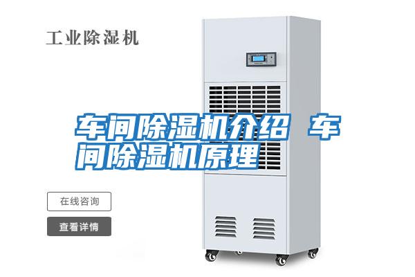 車(chē)間除濕機介紹 車(chē)間除濕機原理