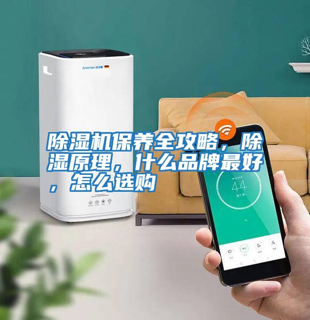 除濕機保養全攻略，除濕原理，什么品牌最好，怎么選購