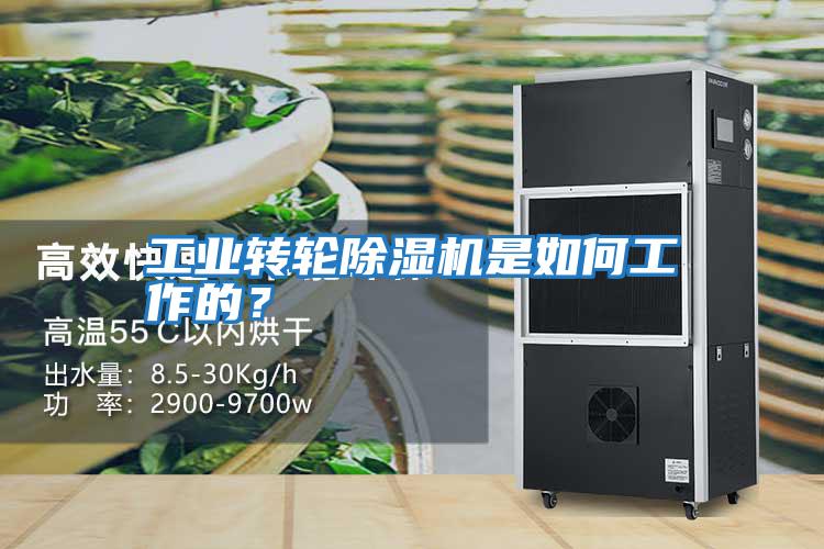 工業(yè)轉輪除濕機是如何工作的？