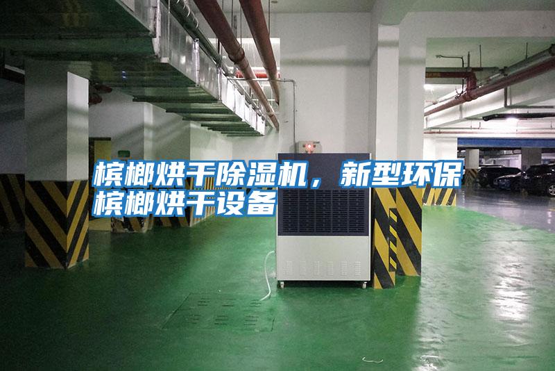 檳榔烘干除濕機，新型環(huán)保檳榔烘干設備