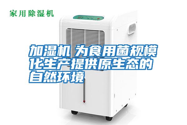 加濕機　為食用菌規?；a(chǎn)提供原生態(tài)的自然環(huán)境