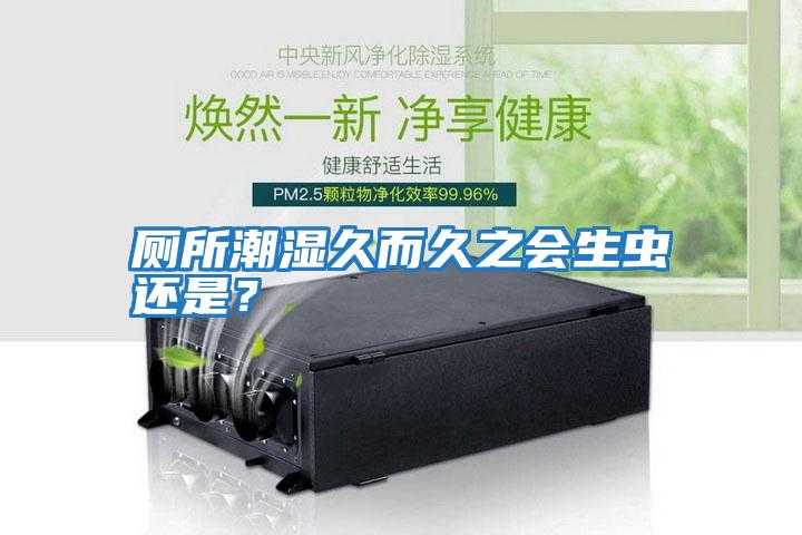廁所潮濕久而久之會(huì )生蟲(chóng)還是？