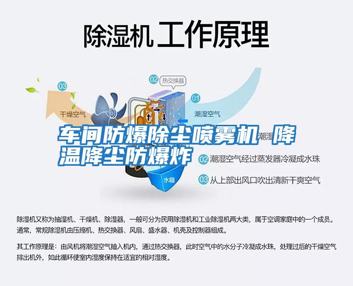 車(chē)間防爆除塵噴霧機 降溫降塵防爆炸
