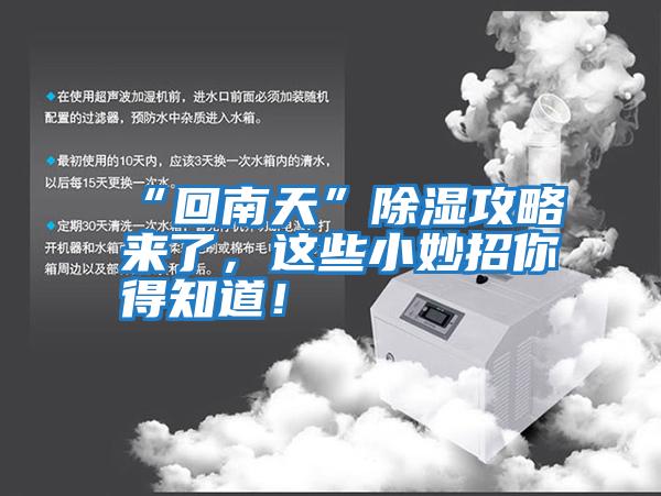 “回南天”除濕攻略來(lái)了，這些小妙招你得知道！
