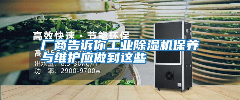 廠(chǎng)商告訴你工業(yè)除濕機保養與維護應做到這些