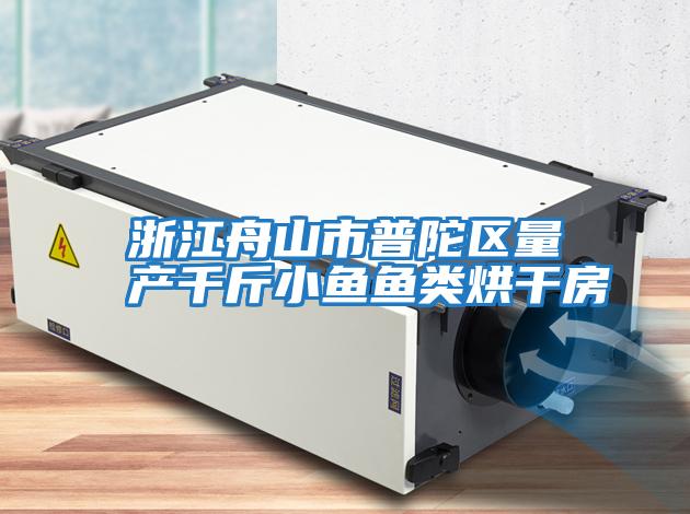 浙江舟山市普陀區量產(chǎn)千斤小魚(yú)魚(yú)類(lèi)烘干房