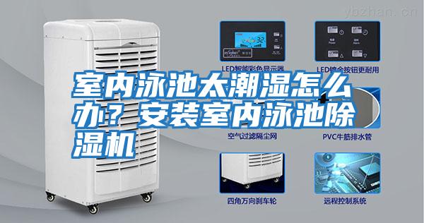 室內泳池太潮濕怎么辦？安裝室內泳池除濕機