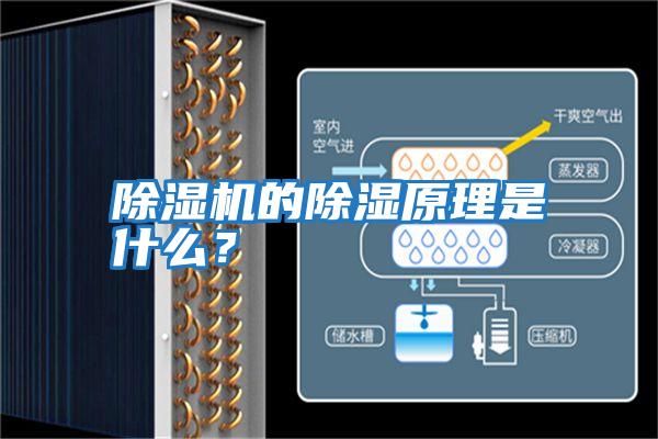 除濕機的除濕原理是什么？