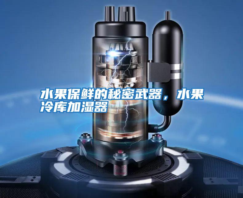 水果保鮮的秘密武器，水果冷庫加濕器