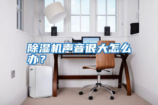 除濕機聲音很大怎么辦？