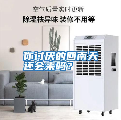 你討厭的回南天還會(huì )來(lái)嗎？