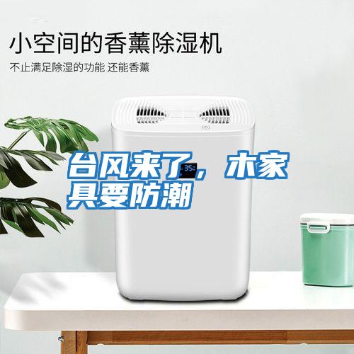 臺風(fēng)來(lái)了，木家具要防潮