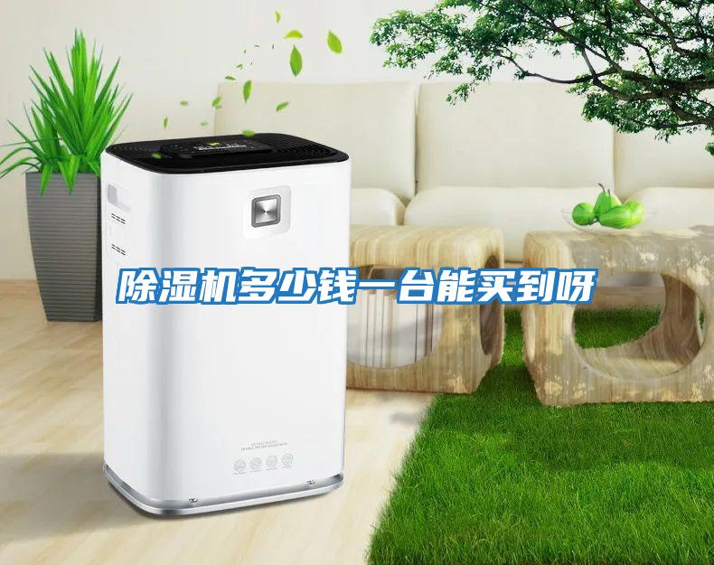 除濕機多少錢(qián)一臺能買(mǎi)到呀