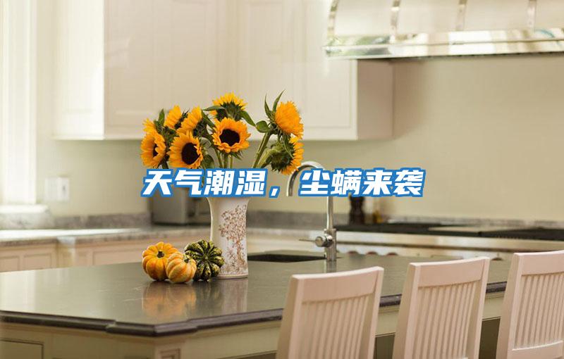 天氣潮濕,塵螨來(lái)襲