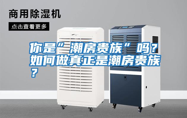 你是”潮房貴族”嗎？如何做真正是潮房貴族？