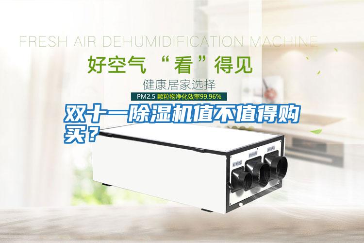 雙十一除濕機值不值得購買(mǎi)？