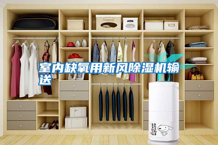室內缺氧用新風(fēng)除濕機輸送